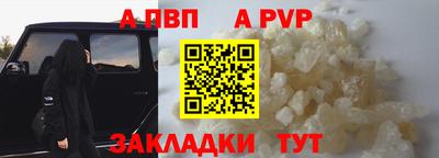 крисы Донской