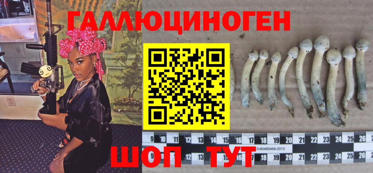Псилоцибиновые грибы MAGIC MUSHROOMS Глазов