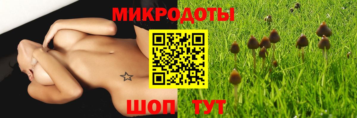 Глазов  Псилоцибиновые грибы мухоморы  Вход с VPN  где можно купить наркотик  Галлюциногенные грибы Psilocybine cubensis 